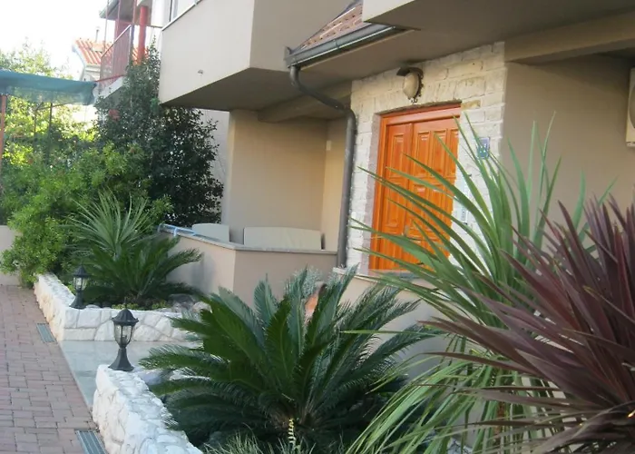 M&m ビオグラード・ナ・モル